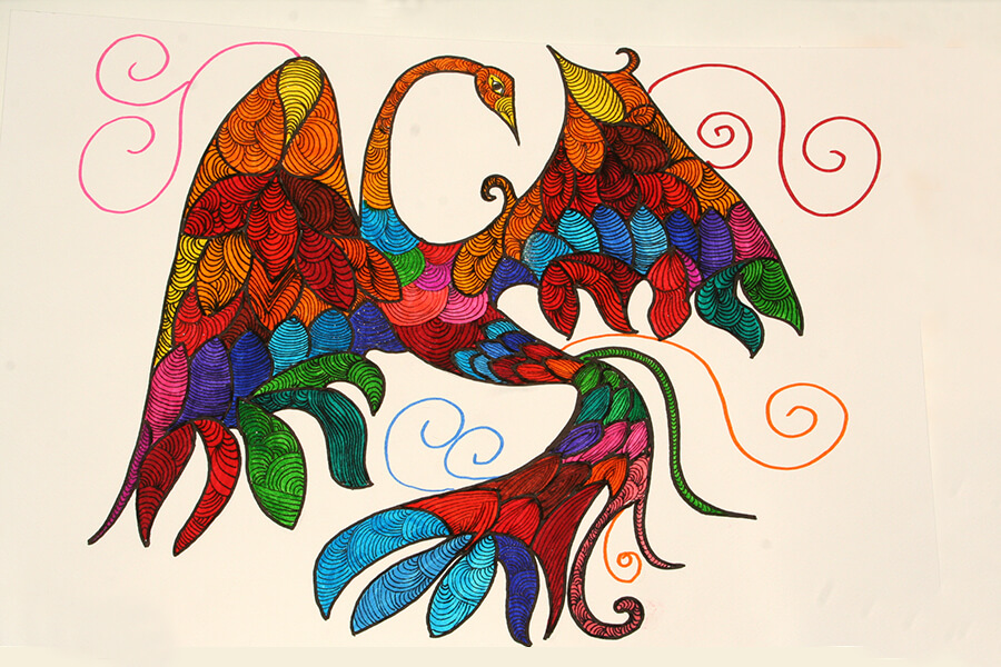 uccello
